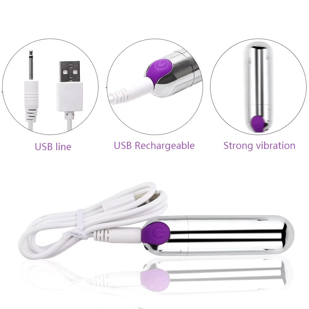 Silver and Purple Metallic Rechargeable Bullet Vibrator