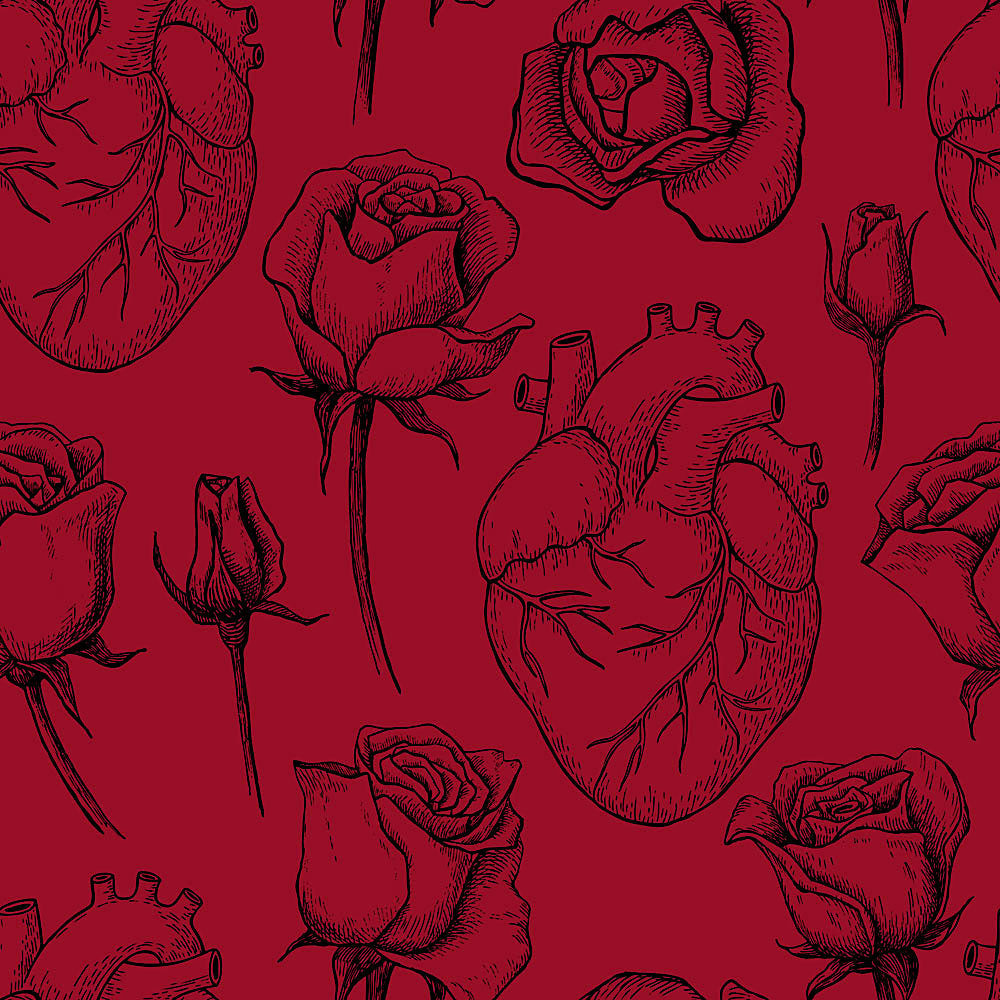 Shift 6" Boxer Packer Underwear - Hearts & Roses Red - XS