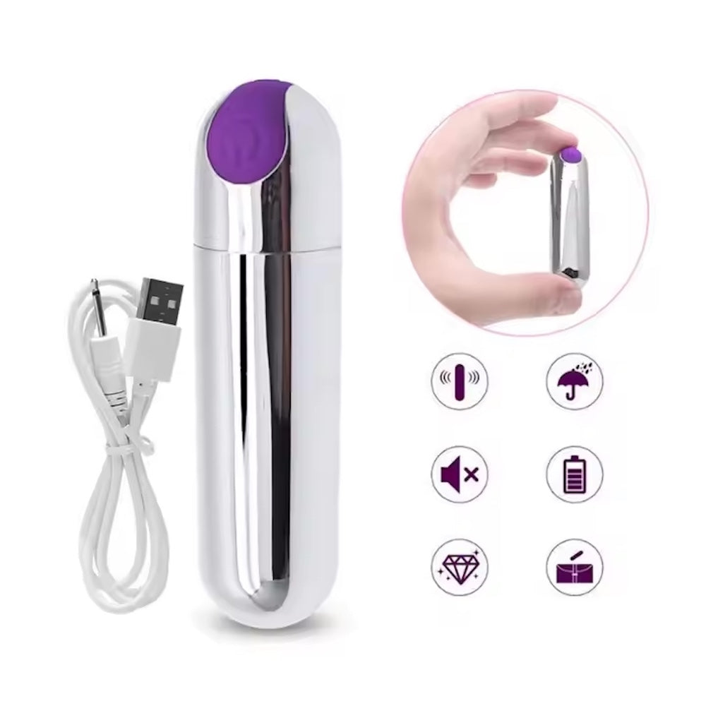 Silver and Purple Metallic Rechargeable Bullet Vibrator