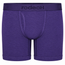 RodeoH Shift 6 inch Boxer in Purple, front view
