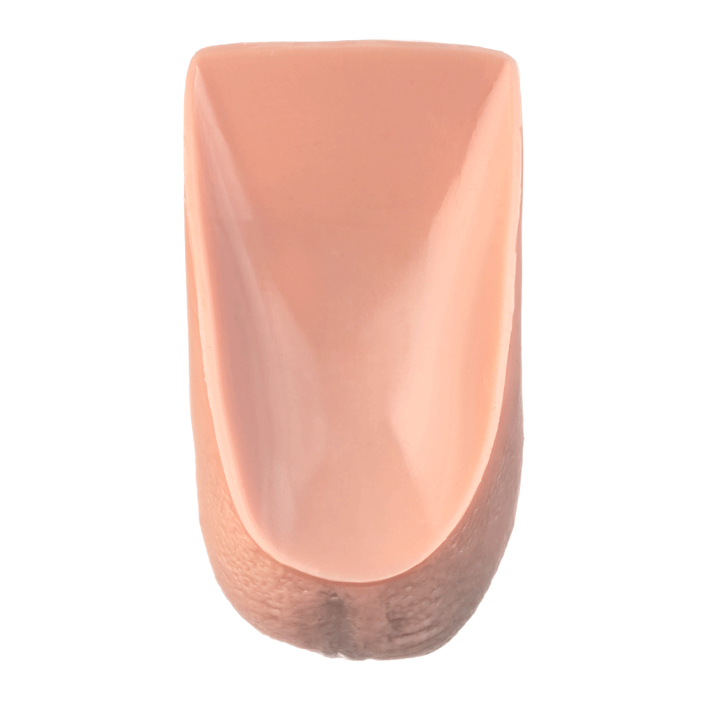 5" Fornix Uncut Realistic Silicone Dildo - RodeoH